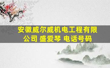 安徽威尔威机电工程有限公司 盛爱琴 电话号码